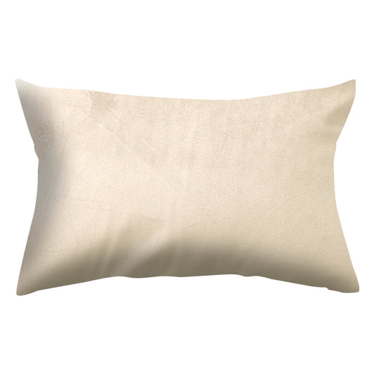 Cuscino Velluto 35 X 50